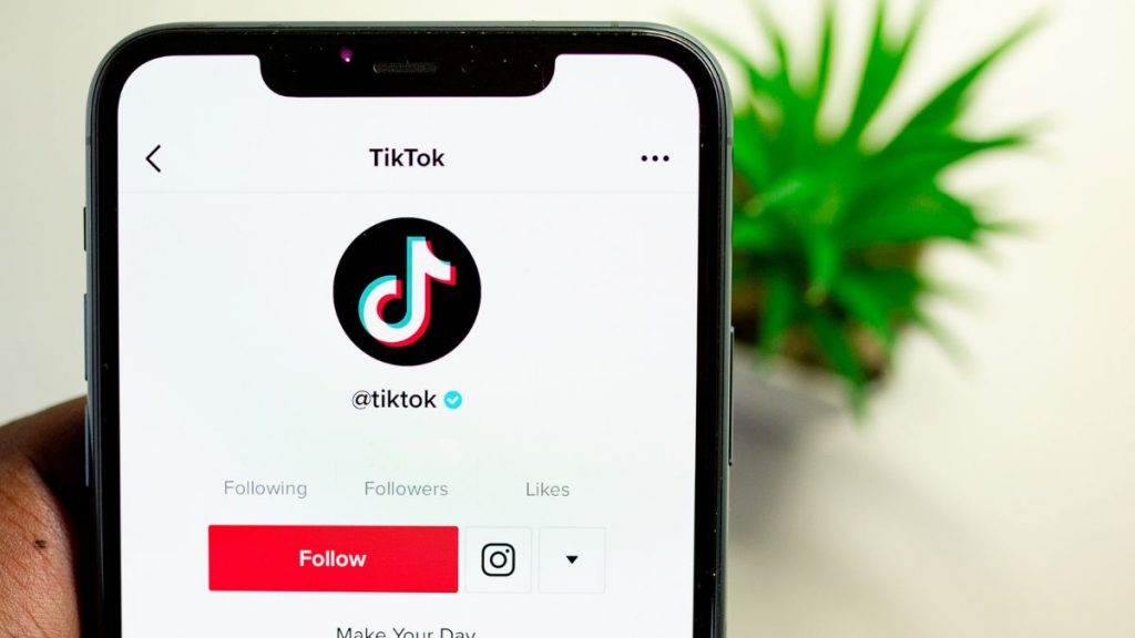 Picture Of  TikTok App