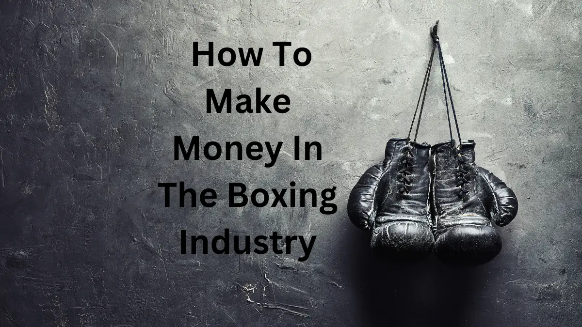 How To Make Money In The Boxing Industry