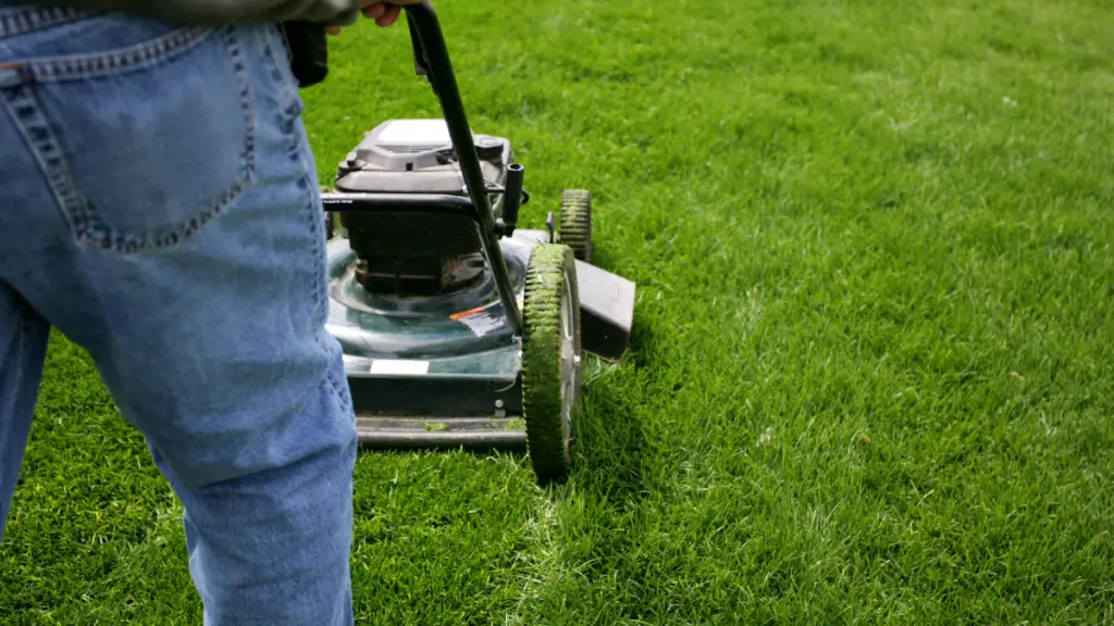 Image Of Lawn Care