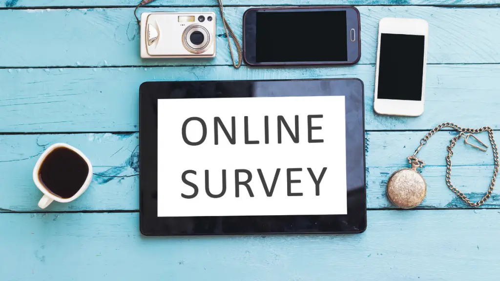 Image Of Online Surveys