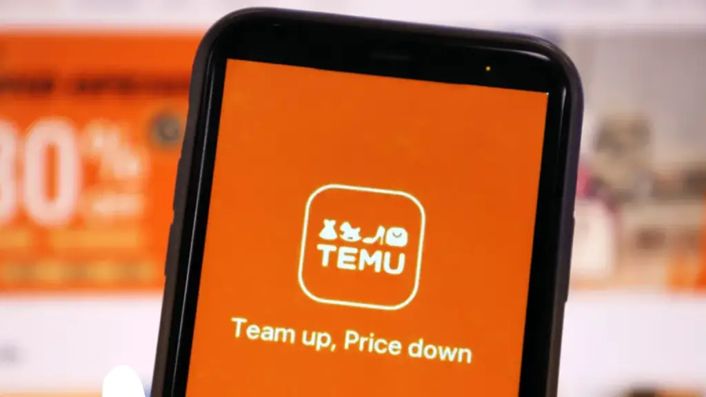 Image Of Temu app Features