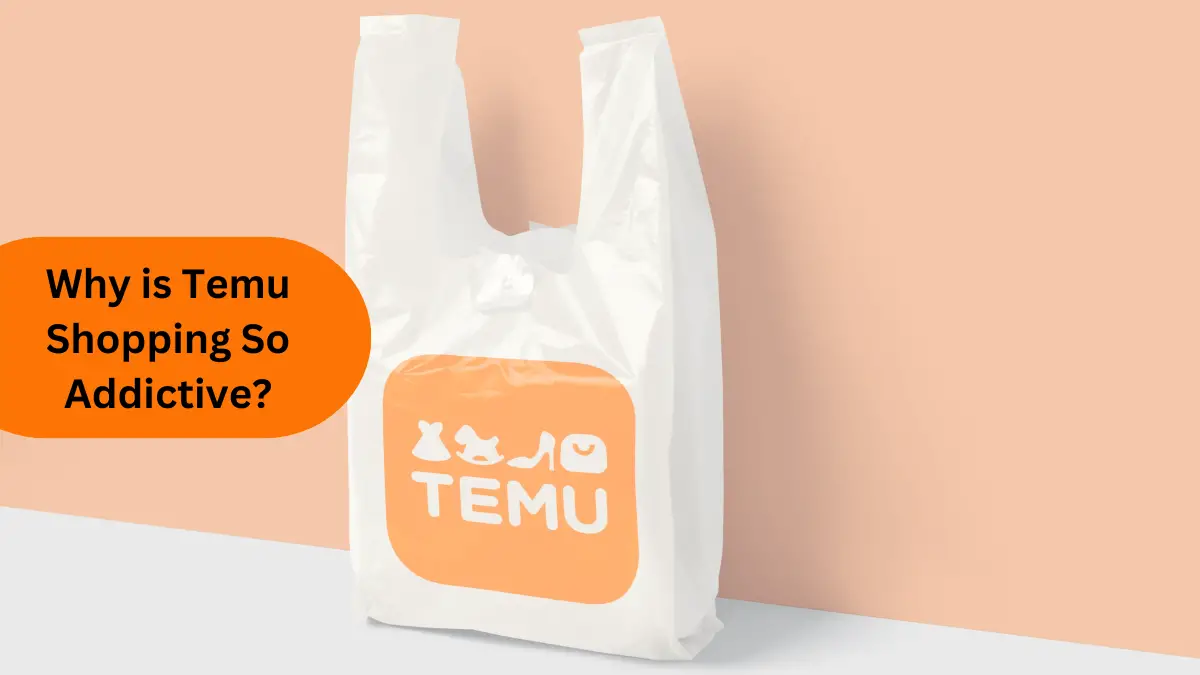 Temu Shopping Addiction-Why is Temu Shopping So Addictive?