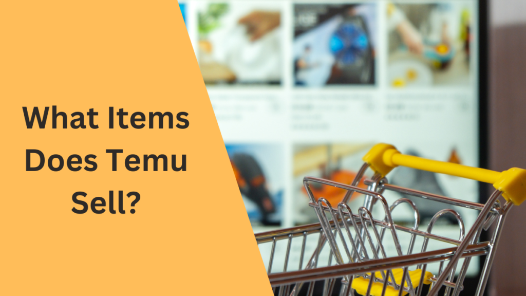 What Items Does Temu Sell?